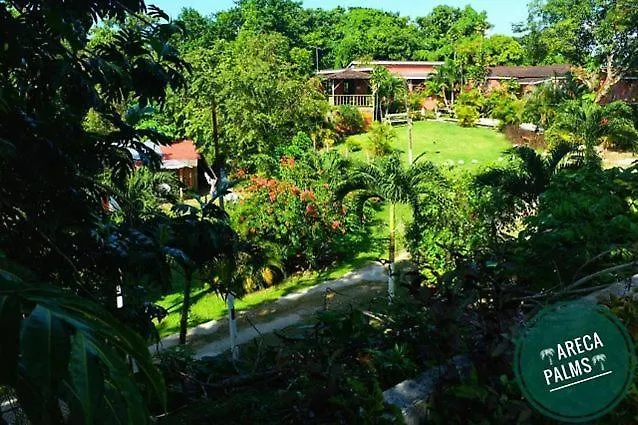 Casa de hóspedes Areca Palms Hotel Port Antonio