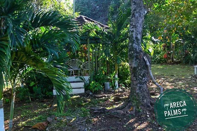 Areca Palms Hotel Port Antonio Jamaica
