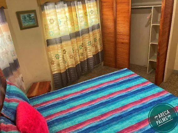 Areca Palms Hotel Port Antonio Jamaica