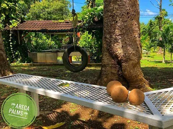 Areca Palms Hotel Port Antonio